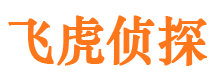 汉滨侦探公司